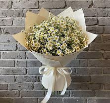 Букет цветов из:  Ромашки #REPLACE_PRED# Акулово
