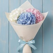Букет цветов из:  Гортензия #REPLACE_PRED# Акулово