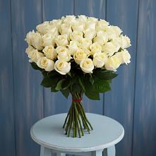 Букет 51 Белая роза Эдлесс Лав в Акулово