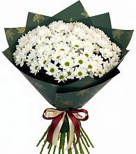 Букет цветов из:  Хризантемы #REPLACE_PRED# Акулово