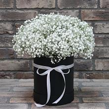 Цветочная композиция из Гипсофила в шляпной коробке в Акулово