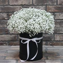 Цветочная композиция из Гипсофила в шляпной коробке в Акулово