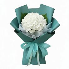 Букет цветов из:  Гортензия #REPLACE_PRED# Акулово